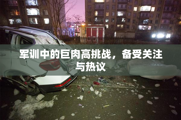 军训中的巨肉高挑战，备受关注与热议