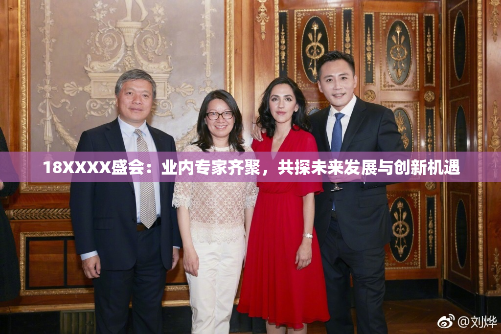 18XXXX盛会：业内专家齐聚，共探未来发展与创新机遇