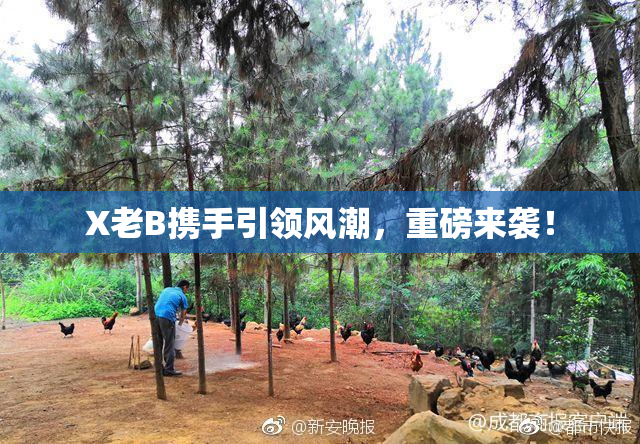 X老B携手引领风潮，重磅来袭！