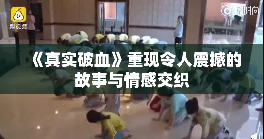 《真实破血》重现令人震撼的故事与情感交织