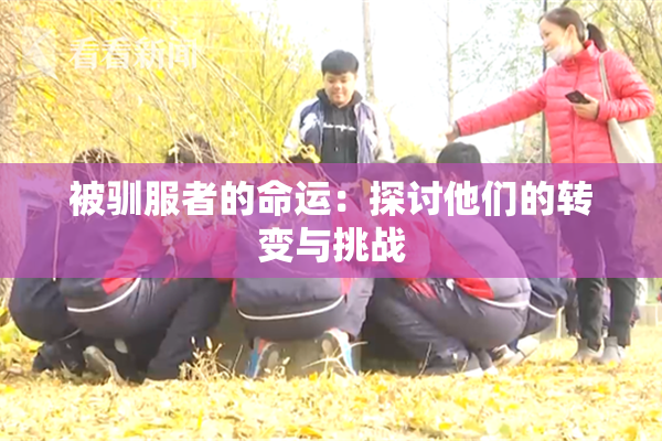 被驯服者的命运：探讨他们的转变与挑战