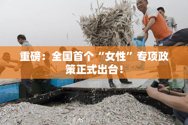 重磅：全国首个“女性”专项政策正式出台！