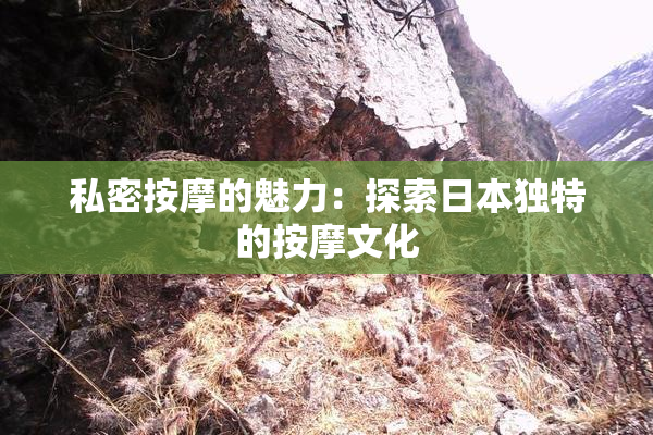 私密按摩的魅力：探索日本独特的按摩文化