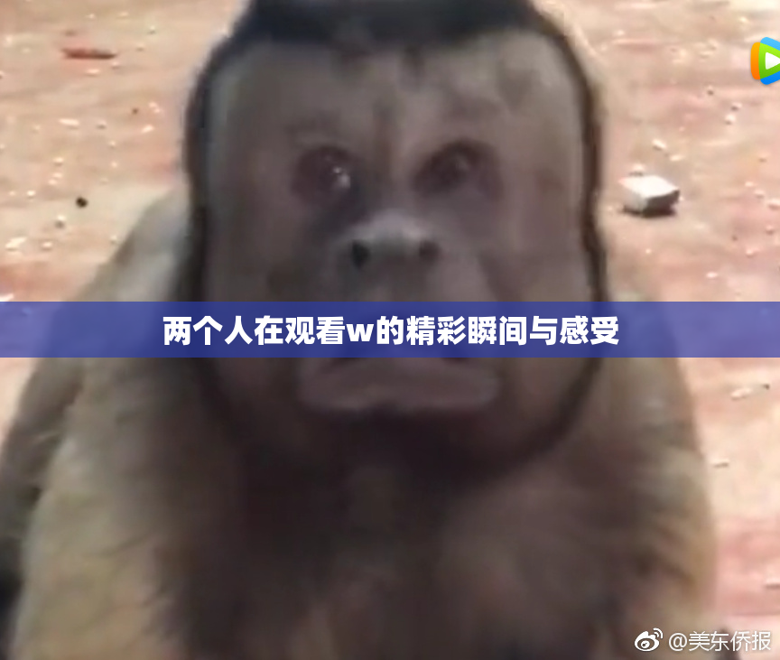 两个人在观看w的精彩瞬间与感受