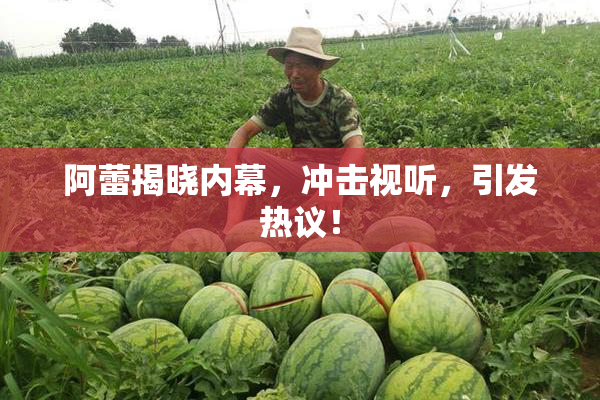 阿蕾揭晓内幕，冲击视听，引发热议！