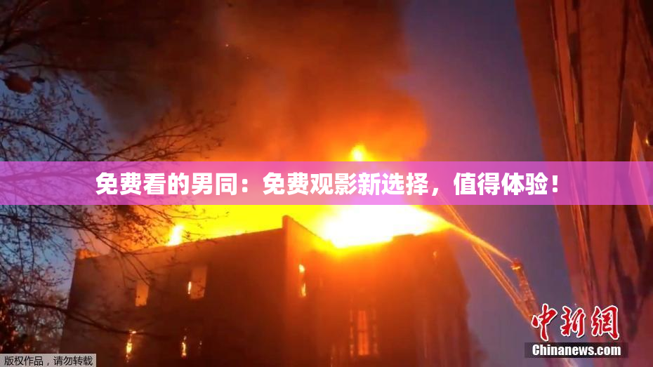 免费看的男同：免费观影新选择，值得体验！
