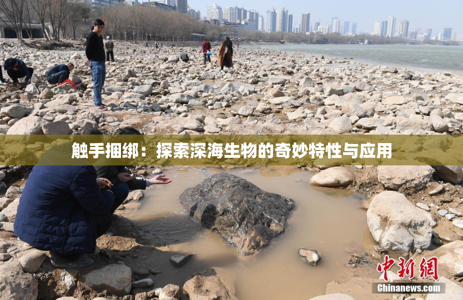 触手捆绑：探索深海生物的奇妙特性与应用