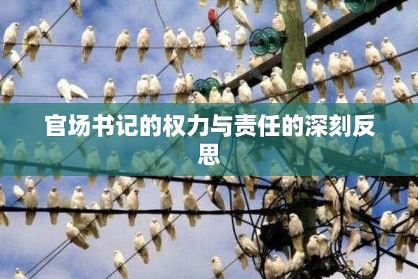 官场书记的权力与责任的深刻反思