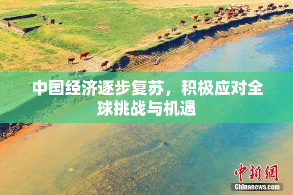 中国经济逐步复苏，积极应对全球挑战与机遇