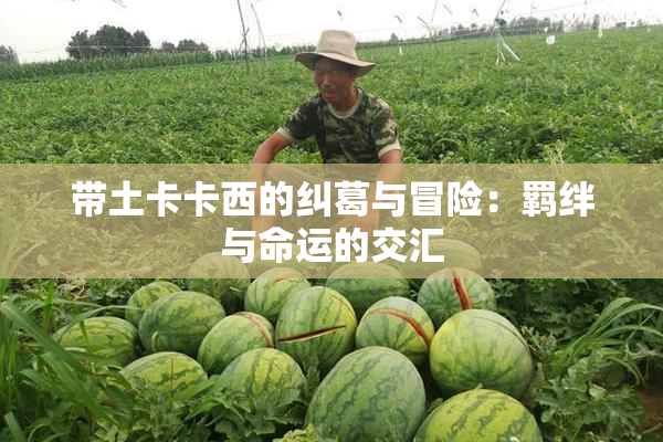 带土卡卡西的纠葛与冒险：羁绊与命运的交汇