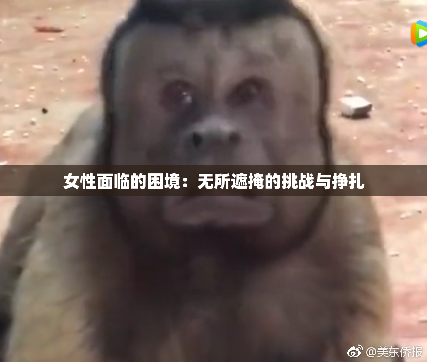 女性面临的困境：无所遮掩的挑战与挣扎