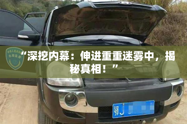 “深挖内幕：伸进重重迷雾中，揭秘真相！”