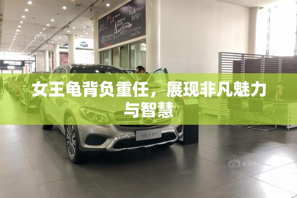 女王龟背负重任，展现非凡魅力与智慧
