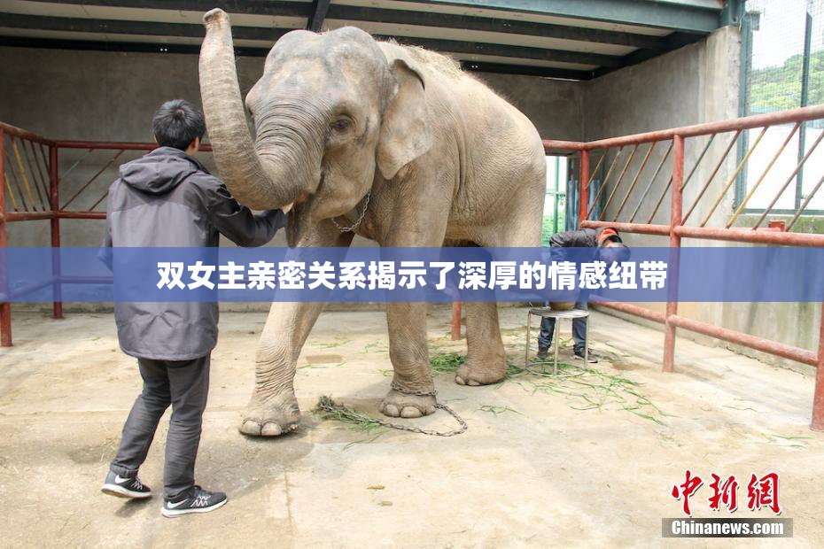 双女主亲密关系揭示了深厚的情感纽带