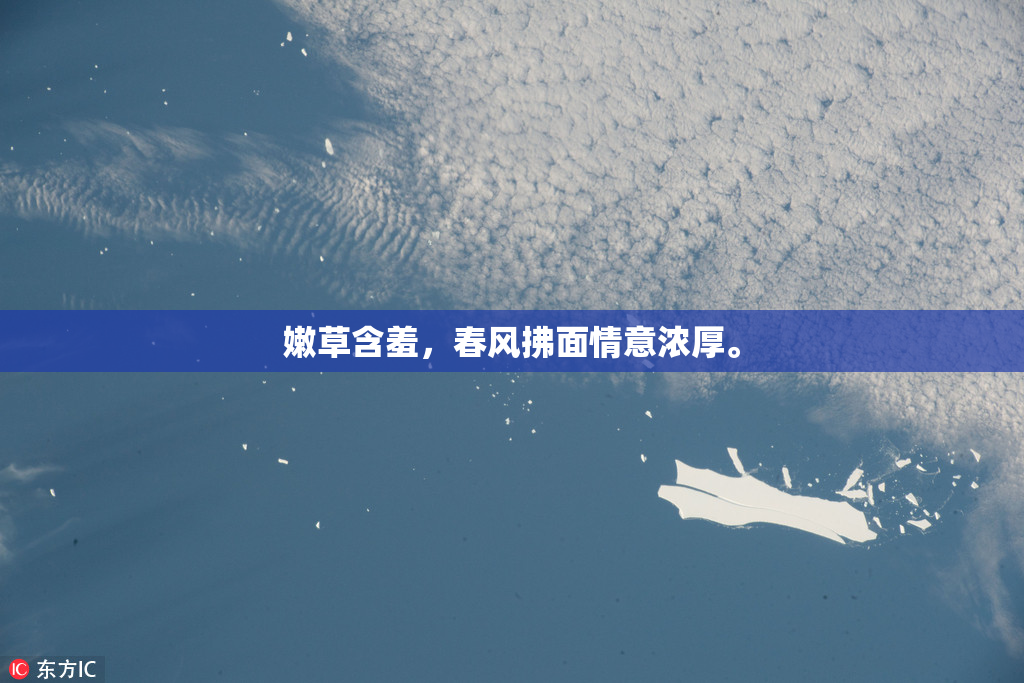 嫩草含羞，春风拂面情意浓厚。