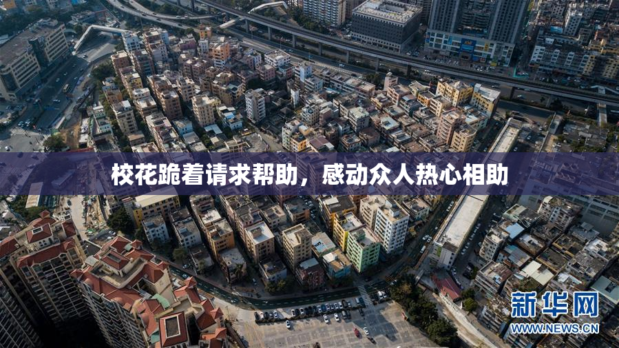 校花跪着请求帮助，感动众人热心相助
