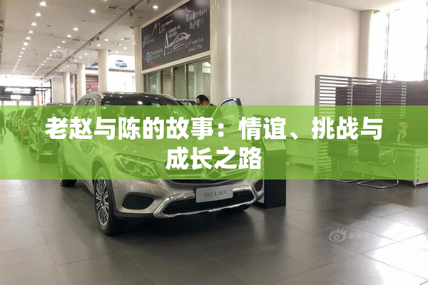 老赵与陈的故事：情谊、挑战与成长之路