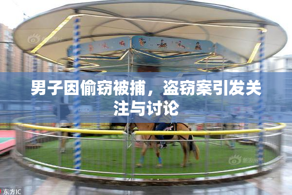 男子因偷窃被捕，盗窃案引发关注与讨论