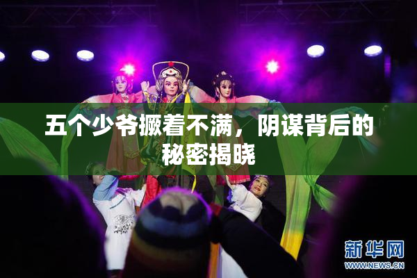 五个少爷撅着不满，阴谋背后的秘密揭晓