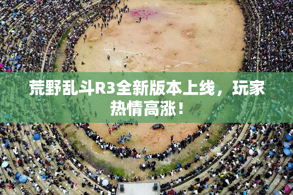 荒野乱斗R3全新版本上线，玩家热情高涨！