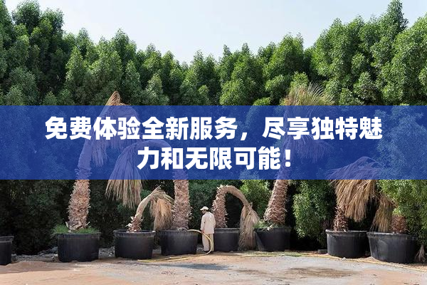免费体验全新服务，尽享独特魅力和无限可能！