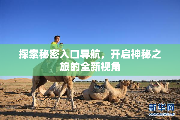 探索秘密入口导航，开启神秘之旅的全新视角