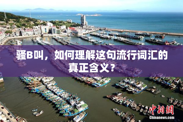 骚B叫，如何理解这句流行词汇的真正含义？