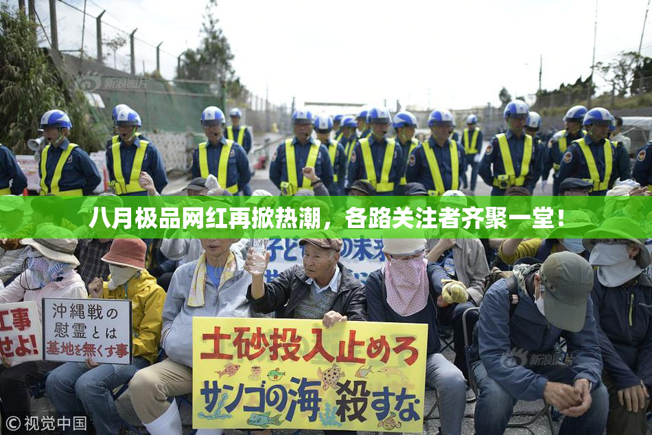 八月极品网红再掀热潮，各路关注者齐聚一堂！