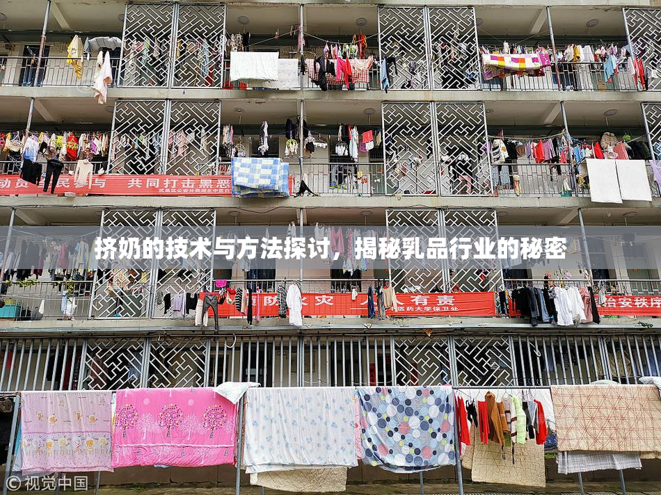 挤奶的技术与方法探讨，揭秘乳品行业的秘密