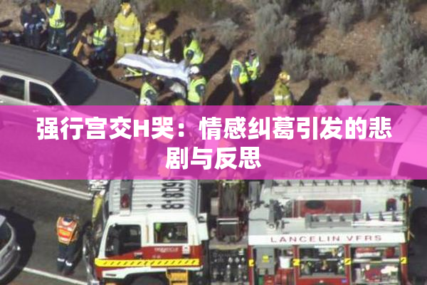 强行宫交H哭：情感纠葛引发的悲剧与反思