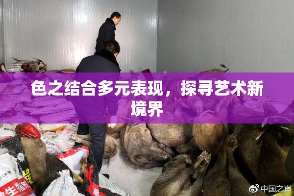 色之结合多元表现，探寻艺术新境界