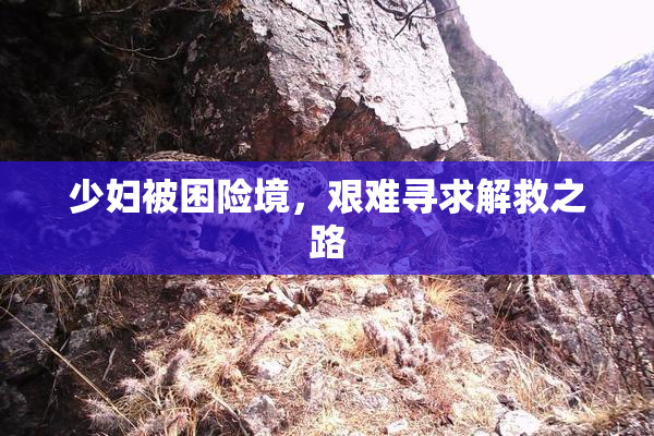 少妇被困险境，艰难寻求解救之路