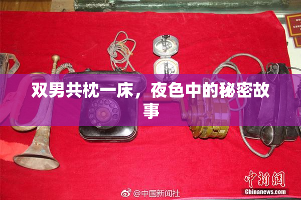 双男共枕一床，夜色中的秘密故事