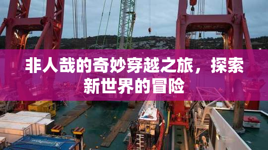非人哉的奇妙穿越之旅，探索新世界的冒险