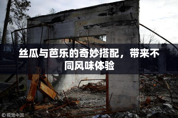 丝瓜与芭乐的奇妙搭配，带来不同风味体验
