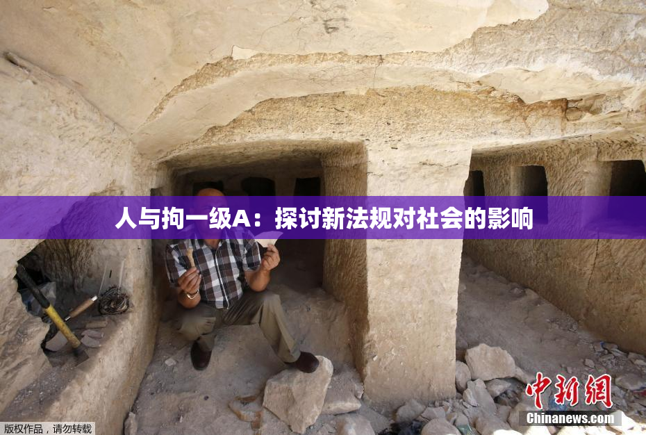 人与拘一级A：探讨新法规对社会的影响