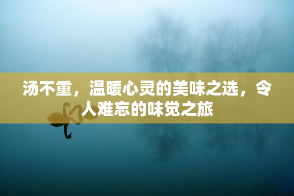 汤不重，温暖心灵的美味之选，令人难忘的味觉之旅