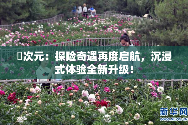 囧次元：探险奇遇再度启航，沉浸式体验全新升级！