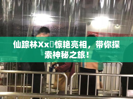 仙踪林Xx乂惊艳亮相，带你探索神秘之旅！