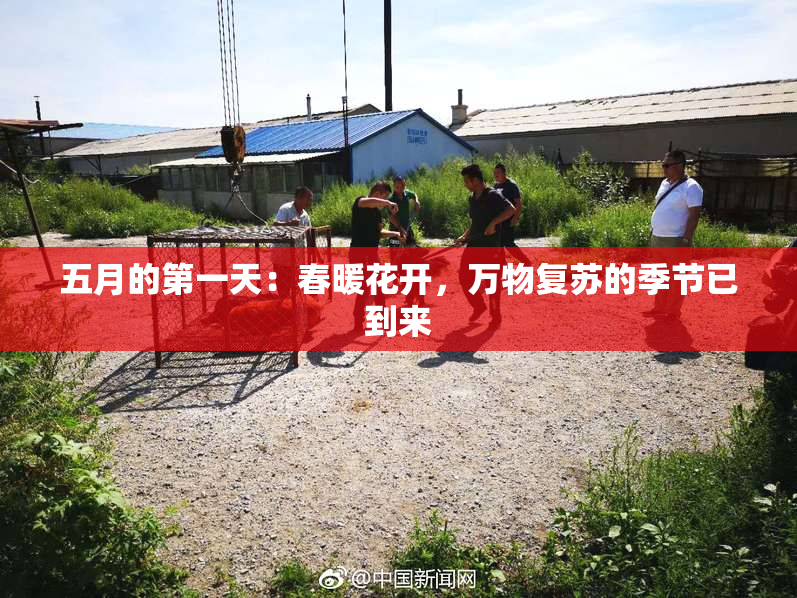 五月的第一天：春暖花开，万物复苏的季节已到来