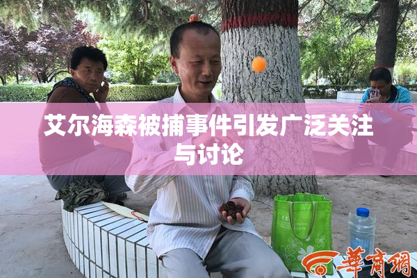 艾尔海森被捕事件引发广泛关注与讨论