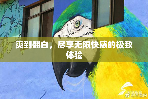 爽到翻白，尽享无限快感的极致体验