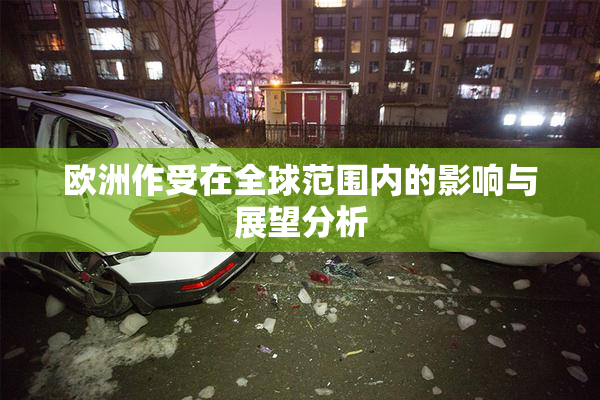 欧洲作受在全球范围内的影响与展望分析