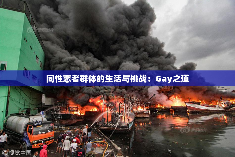 同性恋者群体的生活与挑战：Gay之道