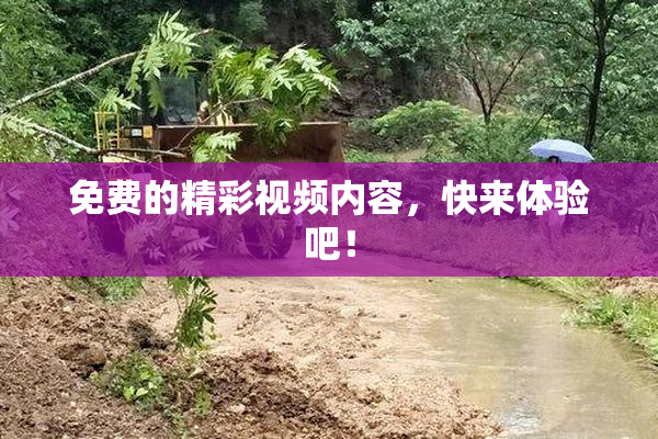 免费的精彩视频内容，快来体验吧！