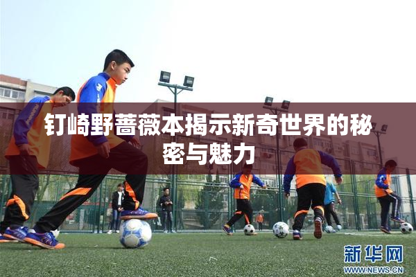 钉崎野蔷薇本揭示新奇世界的秘密与魅力