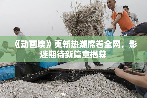 《动画埃》更新热潮席卷全网，影迷期待新篇章揭幕