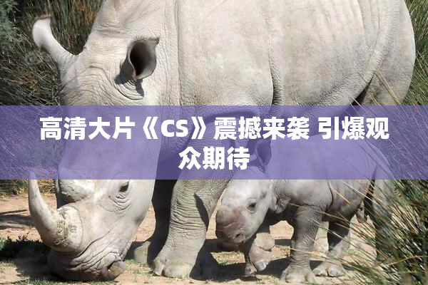 高清大片《CS》震撼来袭 引爆观众期待