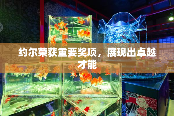 约尔荣获重要奖项，展现出卓越才能