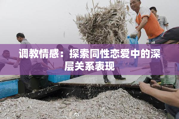 调教情感：探索同性恋爱中的深层关系表现